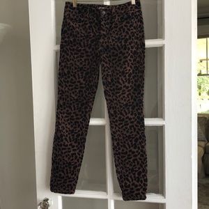 Velvet leopard pants